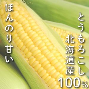 コーン茶 とうもろこし茶 50包 北海道産 水...の詳細画像2