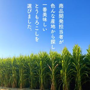 コーン茶 とうもろこし茶 50包 北海道産 水...の詳細画像5