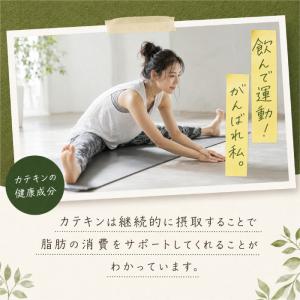 抹茶 粉 抹茶パウダー 粉末 八女抹茶 100...の詳細画像5