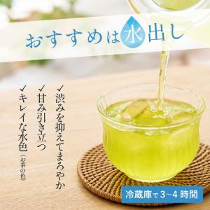 緑茶 ティーバッグ 水出し 100包 八女茶 ...の詳細画像5