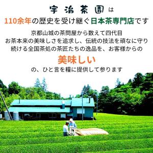 料理の達人御用達 高級寿司屋のかぶせ粉 150...の詳細画像5