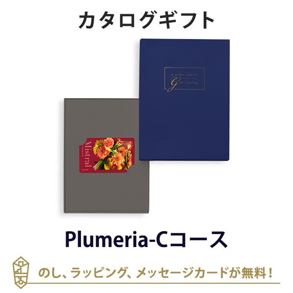 カタログギフト 香典返し カードタイプ 満中陰志 忌明志 内祝い 結婚内祝い 結婚引き出物 出産内祝...