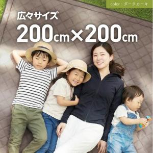 レジャーシート 厚手 大判 大きい 撥水 20...の詳細画像2