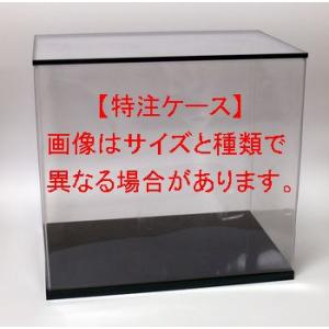 オクタゴン 透明ケース 横幅27×奥行27×高さ36 (cm) フィギュアケース