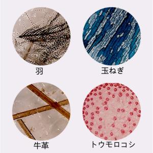顕微鏡 子供 子ども用 ミニ顕微鏡 初心者 顕...の詳細画像5