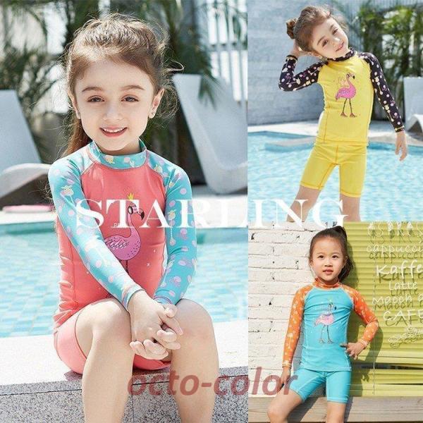 水着 女の子 キッズ ラッシュガード 子供 セパレート 新作水着 子ども スイムウェア 上下セット ...