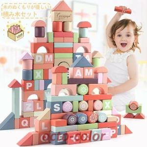 プラントイ PLANTOYS（プラントイ） ウォーターブロック【送料