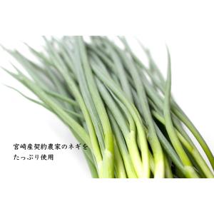 オクトパスドレッシング 葱の詳細画像5