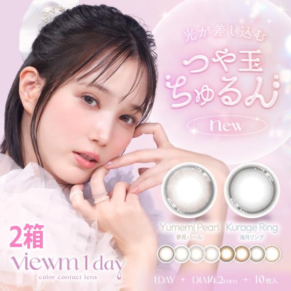 ビュームワンデー Viewm 1day 10枚入り 2箱 1日使い捨て カラコン 度なし 度あり 終...