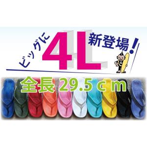 ＰＥＡＲＬ ギョサン 一本型 男性用 4L 各色