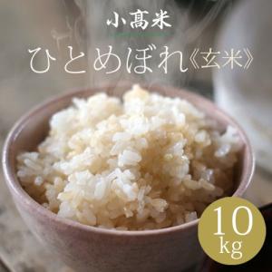 令和7年産 気仙沼市産 南三陸米ひとめぼれ 10kg : 武山米店 - 通販