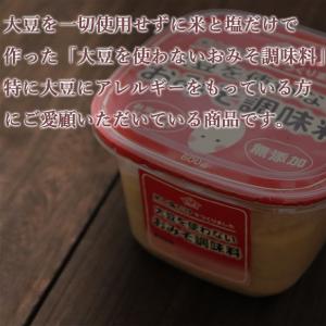 大豆アレルギーの方へ 大豆を使わないおみそ調味...の詳細画像1