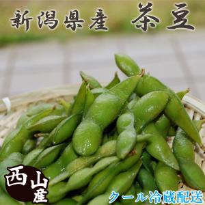 枝豆 新潟県産茶豆 1.5kg 新鮮朝採り 御中元 お取り寄せ