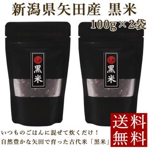 新潟県産 黒米 100g×2袋 新潟矢田産 古代米 くろまい 