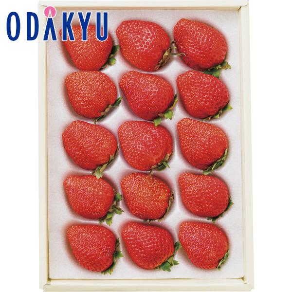 公式 小田急百貨店 京橋千疋屋 国産苺 御歳暮 歳暮 冬ギフト 冬の贈り物 2025 ｜お届け希望期...