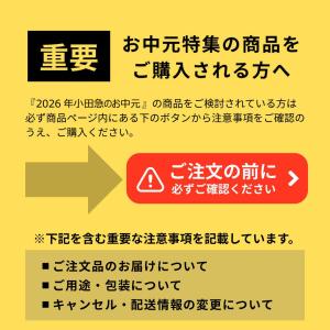 公式 小田急百貨店 ギフト お中元 2026 ...の詳細画像4