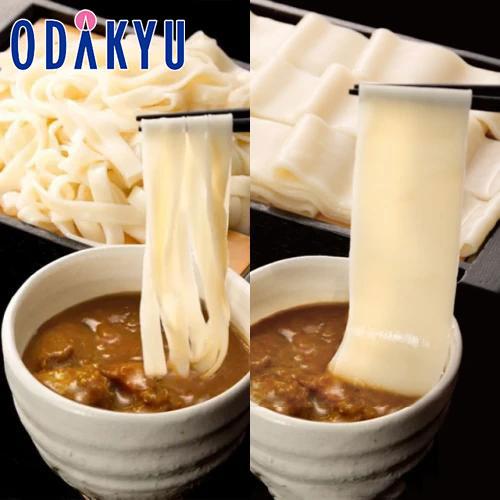 お取り寄せ ごちそう 送料無料 群馬・花山うどん 老舗のカレーつけうどん CH-4 ｜7-10日程度...
