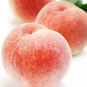 桃 白桃 特秀 フルーツ 送料無料 ［ 山梨県産 浅間白桃 糖度１３度以上 ］ ｜７月１５日以降順次届※北海道・四国・九州・離島への届不可