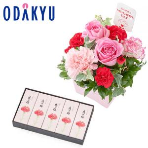 母の日 花 2026 生花B & とらや母の日パッケージ 小形羊羹 5本入 セット ｜5/7-10のあいだに順次お届け※沖縄・離島へは届不可(MD)