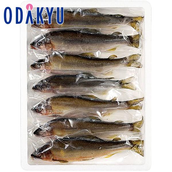 お取り寄せ 惣菜 産地直送 送料無料 錦幸園 塩焼ん鮎 焼くだけよ SSY-7 ｜7-10日程度での...