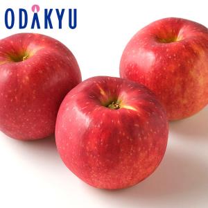 りんご 送料無料 岩手県産 紅いわて 6玉入り 約1.6kg　9月下旬以降に順次お届 沖縄・離島届不可 直
