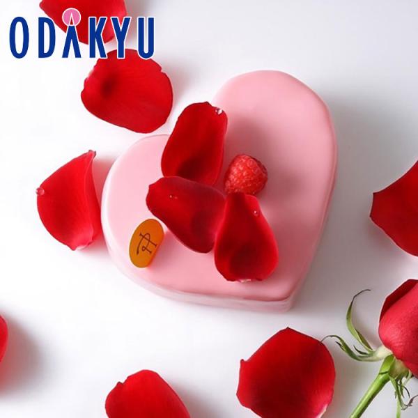 クリスマスケーキ ピエール・エルメ・パリ クール ミロワール イスパハン 2人分 〜 4人分 冷凍 ...