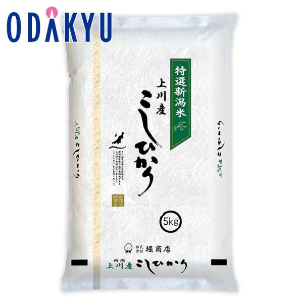 お米 新米 令和 7年産 送料無料 堀商店 上川コシヒカリ 短冊 5kg ｜7-10日程度でのお届け...