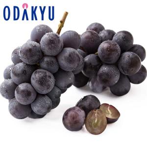 ぶどう ブドウ 送料無料 やまなし & ながの 種なしピオーネ 各1房 350g以上 約7から12日での届 沖縄・離島届不可 直