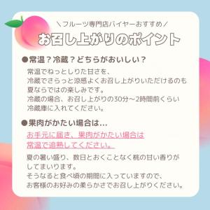 もも ぶどう 送料無料 山梨を味わう 桃2産地...の詳細画像1