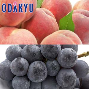 もも ぶどう 送料無料 黒ぶどうと白桃 福島川中島白桃と岡山ピオーネ 8月下旬以降のお届け※沖縄・離島へは届不可 直