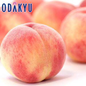 桃 もも 送料無料 福島県産 お買い得♪ ふくしまのもも 品種はおまかせ 6〜10玉 2kg入り 約7から12日での届 沖縄・離島届不可 直