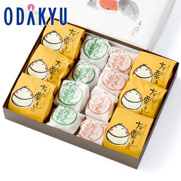 ギフト 和菓子 禅寺丸本舗 大きな栗まん 禅寺丸最中 14個入 ｜約3-10日でのお届け※北海道・四...