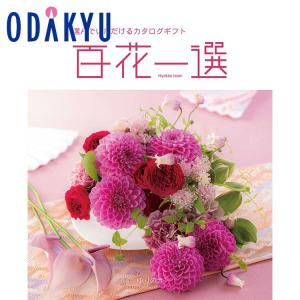 カタログギフト 送料無料 百貨店 インテリア 雑貨 リンベル 百花一選 ゆりのき ｜内祝 結婚祝い お返し 香典返し お礼※約7-10日届(A)