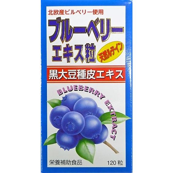 ブルーベリーエキス粒　イン　ルテインα　１２０粒入り ●翌日配達「あすつく」対象商品（休業日を除く）...