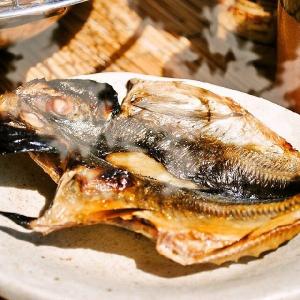 お取り寄せ 海鮮 グルメ 残暑見舞い ギフト ...の詳細画像1