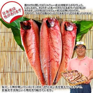 お取り寄せ 海鮮 グルメ 残暑見舞い ギフト ...の詳細画像2
