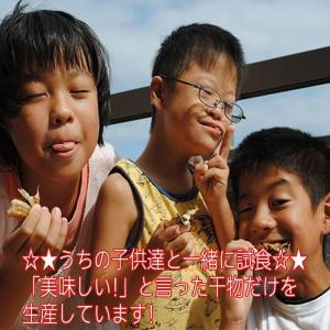 お取り寄せ 海鮮 グルメ 残暑見舞い ギフト ...の詳細画像5