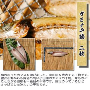 お取り寄せ 海鮮 グルメ 残暑見舞い ギフト ...の詳細画像3