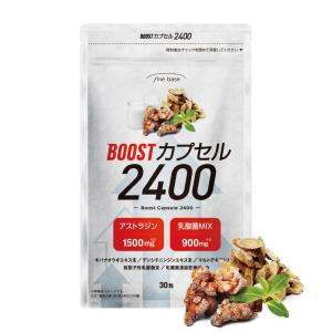 ドナリエラ ハードカプセル ( 60粒 )/ : 爽快ドラッグ - 通販 - Yahoo