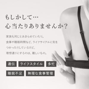 ボディケア サプリ cellnote. BV ...の詳細画像5