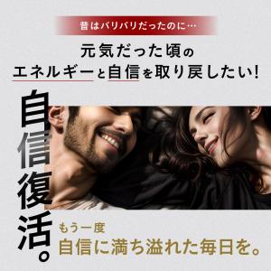 活力サプリ LAGNET NIGHT ENER...の詳細画像4