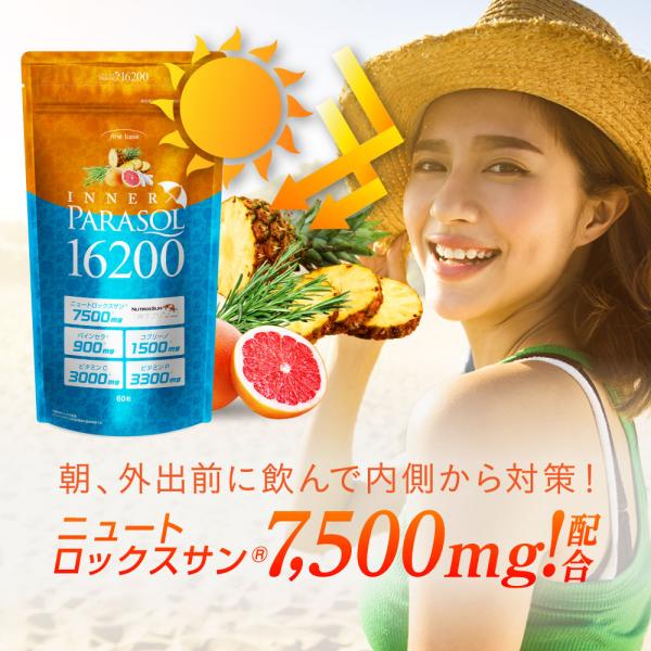 SALE 10%OFF 送料無料 ◇ サプリ ニュートロックスサン高配合 finebase インナー...