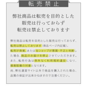 WEEED オリジナルペーパーバッグ(M) ギ...の詳細画像2