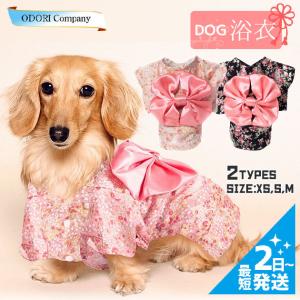 犬 着物 正月の商品一覧 通販 Yahoo ショッピング