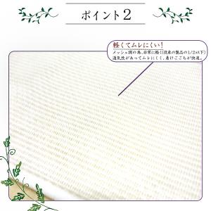 すずろベルト ワイド 通常タイプ いとみ 夏用...の詳細画像3