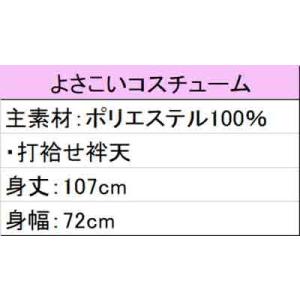 よさこい 衣装 レディース おしゃれ ペアルッ...の詳細画像2