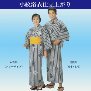 踊り 着物 舞踊 絵羽 反物 紫 藤 当店限定商品 : ODORI Company - 通販