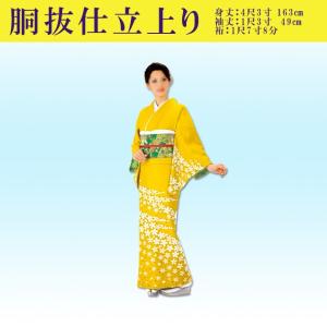 二部式着物 茶色 緑 黒 エンジ 縞 紫 チェック 桜 : ODORI Company