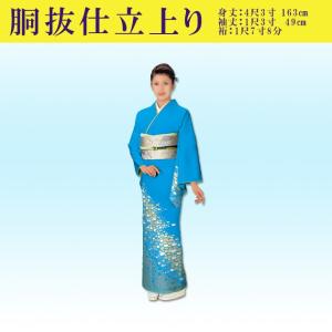 踊り 着物 きもの 優美胴抜き仕立上り洗える着物 訪問着 衣装 緑