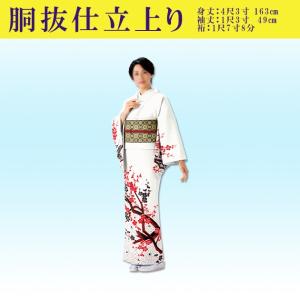 踊り用 着物 付け下げ セミオーダー仕立て上がり 袷 胴抜き 単衣